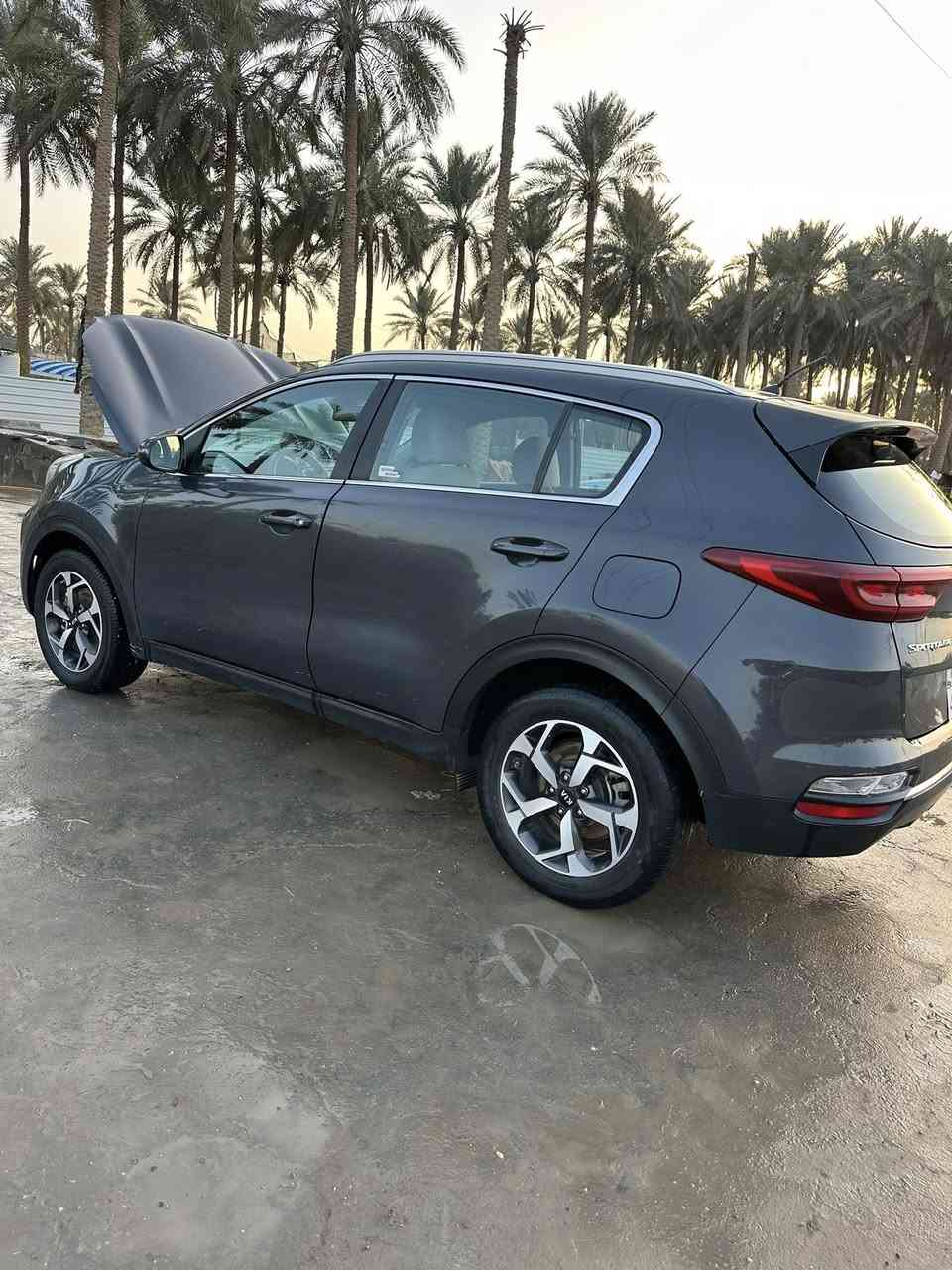 السلام عليكم سبورتج 2019 خليجية مكفولة وكالة عام ب اسمي ***********
