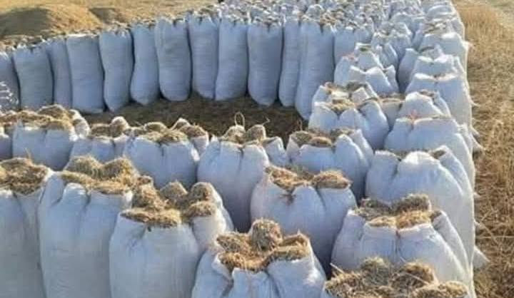 السلام عليكم يوجد تبن ابيض درجه اوله بيه طكت حنطه حجم الكيس 55//السعر2250//وموجود حجم الكيس 60//السعر2750///الارقام//// ***********///***********
