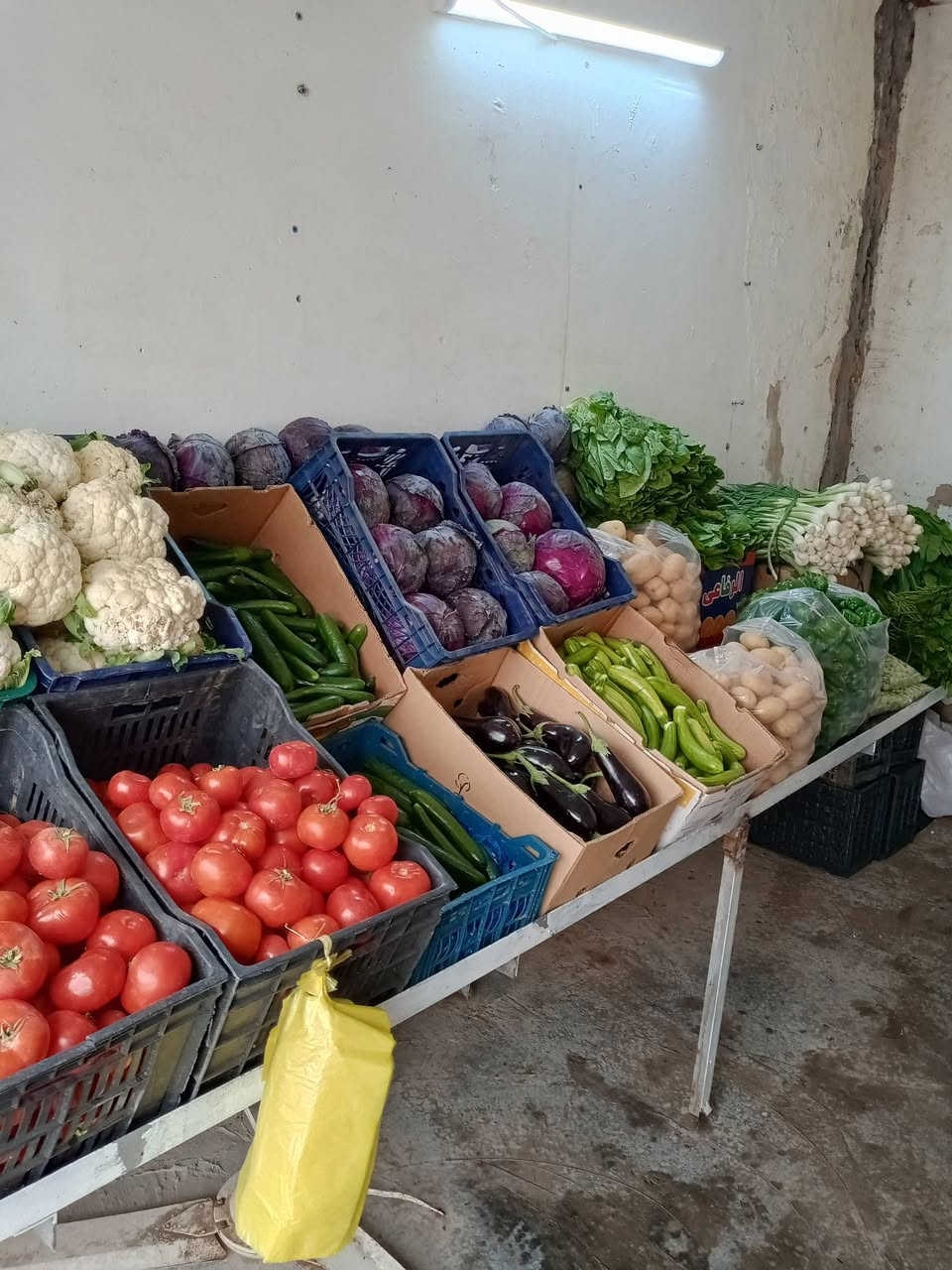 اللهم صلِّ على محمد وآل محمد

تم افتتاح علوة مخضر وسمج ودجاج وشوي وقصابه طه ابو يوسف حي فرات السوك مقابل جامع الفرات ومجاور مدرسه الطبري نورونه موجود كلشي وكلاشي وكله يوم بيومه ولتوفيق من الله   وهاذ رقم بي واتساب ***********
