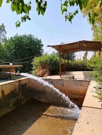 مزرعة • طابو أسود • ١٠ دونم