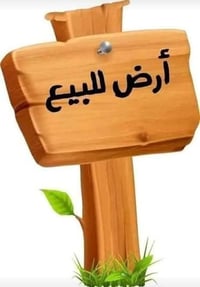 الزهور • ٢٠٠م • ارض ركن