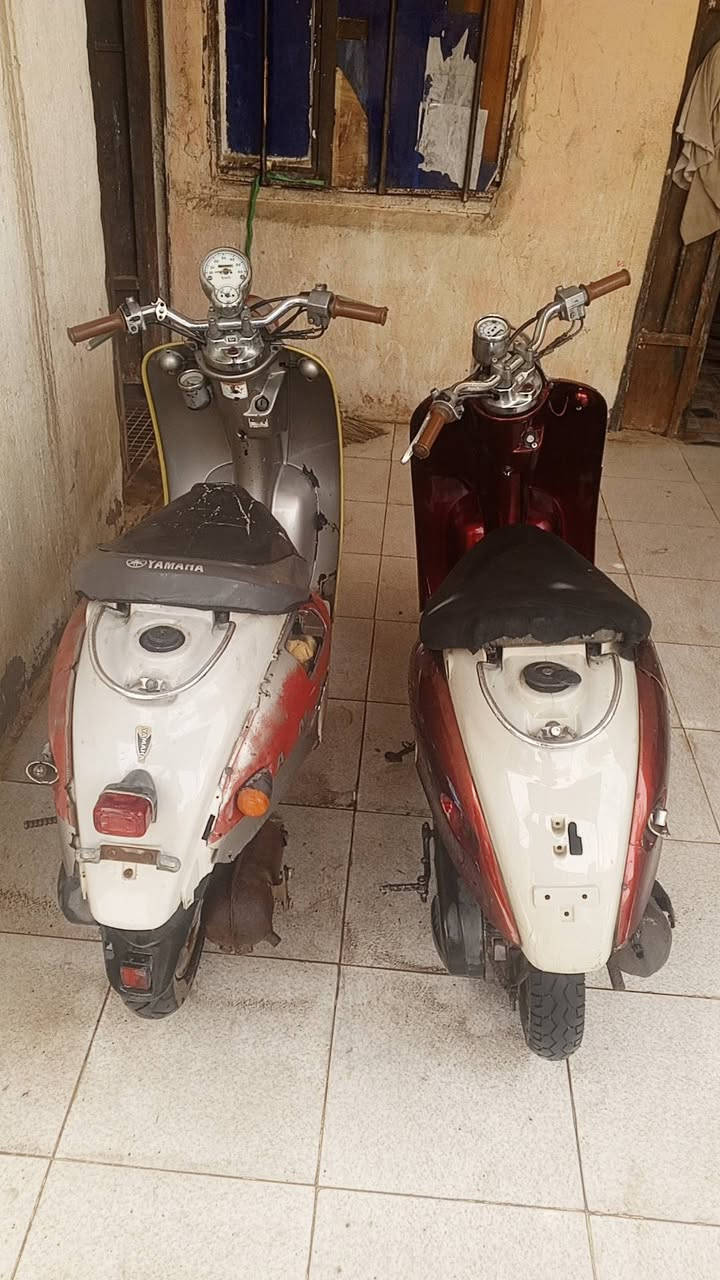 عمي سلام عليكم لبيع مصريات شرط شغل كلوبات اشاير شغاله سعر لوحده 150وبيها مجال ثنينهن 250دك هندر وتوكل مانقصهن شي مكاني حي صناعي ناصريه مقابيل جبلونات ابو عادل  رقمي لستفسار ***********
