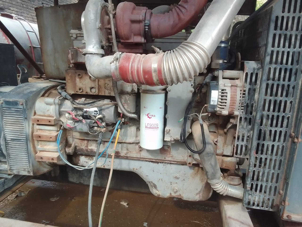 مولده لبيع كمنز٢٤ولف السعر ٣٥بيه خيط بخار استفسار على الرقم ***********
