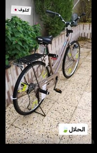 موديل ١٩ • حاوية • ترابي