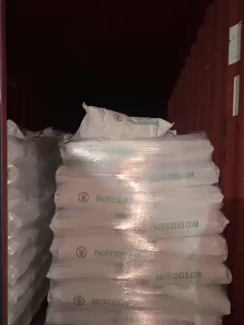 وصول مغلفات بذور جت أمريكي المنشأ من شركة باسفيك كالبفورانيا  شركة الغندورة التاجي
***********
