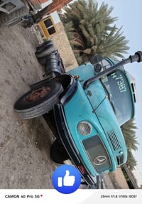 قلاب بلدي • موديل ٨١ • صبغ بسيط