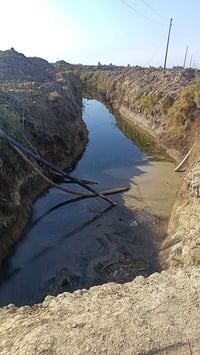 عله المصيفي • 30 دونم • مي وكهرباء