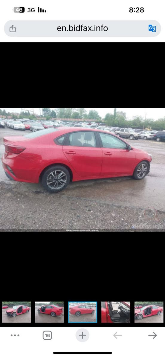 سلام عليكم
كيا فورتي 2024 وارد امريكي

مكينه 2000 دوش

سياره حادثها موضح بل صور حادثها سرقه باب وجاملغ ولجاملغ راجع نفسه 

مكفوله من صبغ ليبل واحد بدون ايرباك بدون دواخل سياره دخول جديد

ماشيه 13 الف مكينه وكير وصدرً وتبريد عله وضع الشركه

رقم بغداد مشروع وطني بسمي 

 المكان بغداد الدوره او شارع فلسطين 

ملاحضه لسياره جديده امدوشمه حراري الكشنات وين ما يعجبك افحصها 

***********
