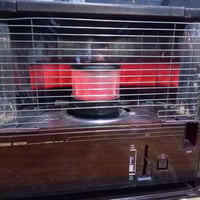 صوبة نفطية • ياباني • كربلاء حي الحر