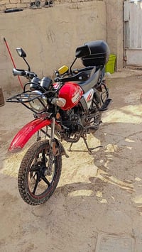 دايون • ٢٠٢٣ • مكفولة