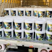 معجون زجاج • النمر • تثبيت قوي