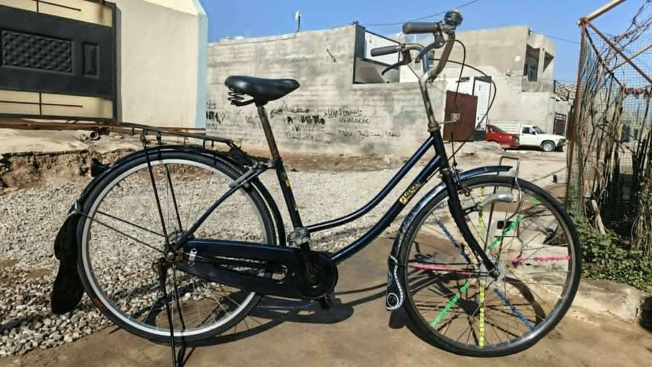 للبيع حجم 26 سعر 55


**إذا كنت صاحب هذا الإعلان وتريد حذفه لأي سبب، رجاءا أرسل رسالة إلى الدعم الفني**