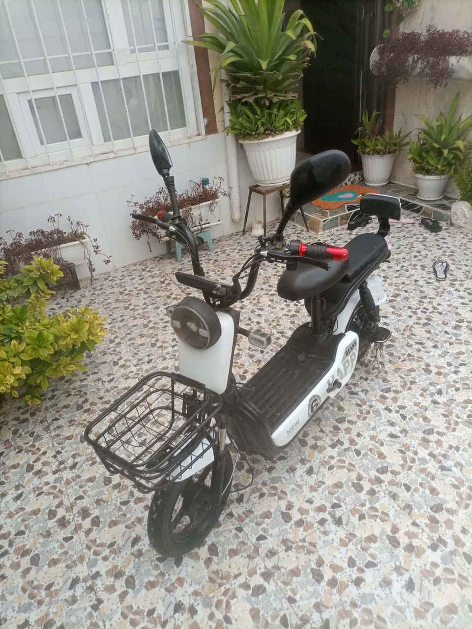 ئەم پاسکیلە شەحنە بۆفرۆشتن زۆر پاک و تازەیە لەسموودە نرخی ۲٥۰هەزار و مەعمەلە


**إذا كنت صاحب هذا الإعلان وتريد حذفه لأي سبب، رجاءا أرسل رسالة إلى الدعم الفني**