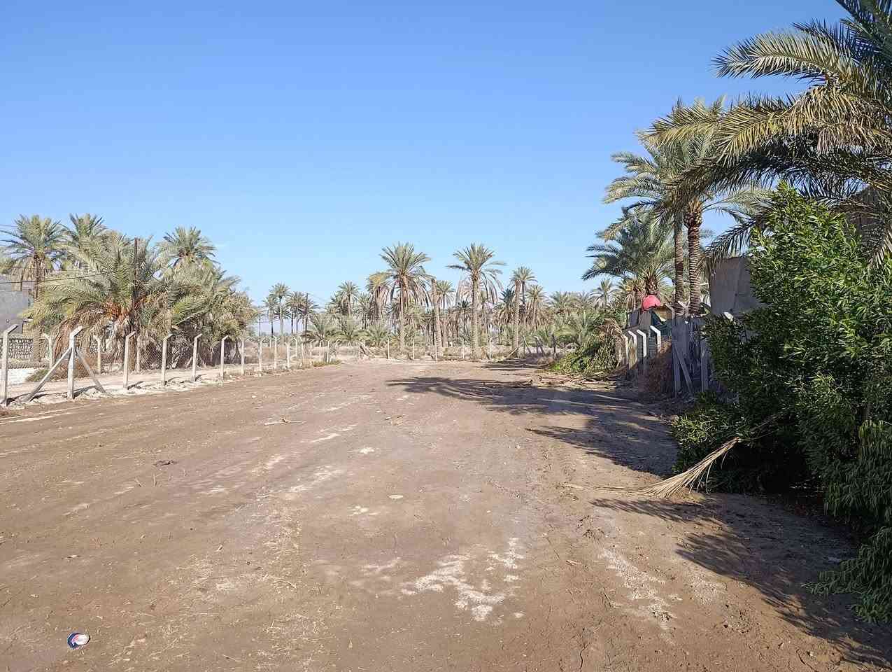 سلام عليكم ارض زراعيه للبيع مساحه 1400 متر طابو زراعي سند 25 بسمي مسيجه واجهه جدول النيل ماء سقي متوفر وماء اساله بل باب سيح كهرباء خطين بيهه تصلح مزرعه دار سكن اي شي خدمات كامله ومتوفره تبعد عن شارع النيل 500 متر والتبليط قريب عليهه مسافه قليله عنوان النيل قرب مخازن القمه تبعد عن الجزائر 5دقايق سعر نتصل وسهله الي شخصين ***********,,,,,,***********,,
