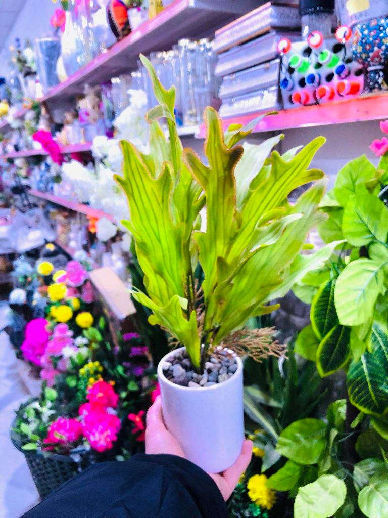 نرخەکانمان شۆک تان دەکەن باری تازەمان گەیشتووە

سەیری بابەتەکانمان بکەن جیاواز نرخەکانمان ببین 
هەموو خوار جوملە هەموو بابەت ناوازە و جیاواز 
بەس گلەی مەکەین نەما بابەت ئێمە یەک جار دووبارە بوونەوە نییە هەمیشە بابەت ناوازە وجیاواز نرخەکانمان ببین

ئێستا هەموو بەردەستە هەموو رۆژ بابەت ناوازەو جیاواز
لەبەر زۆر بابەت ناتوانین هەموو عەرز کەین فریا ناکەوین
تەنها لە هەزاری سەنتەری  سەیدسادق بەردەستە 

هەر شوێنێک بەو پارە دەسیت کەوت وەرە پارەکەت وەربگرەوە

ئیستا یەکسەر سەردانمان بکەین دوایی گلەی مەکەین نەما 

هەموو رۆژ دوکان سەعات 9بەیان بۆ 12شەو کراوەیە

یەکەم بێ رکابەرین لەنرخ و لەهەرزانیدا نەک
 لەسەیدسادق بەڵکو لەسلیمان و هەڵەبجە شەهیدیش
 کەس بەرکابەر خۆمان نازانین بۆ هەرزان 

بینیرن بو هاوریکانتان👉👉👉🙊🙉🙈

گەورەترین #ھەزارسەنتەری_سەیدسادق

بەس ئێمەین لە سەیدسادق شتی ئیمە جیاوەزە 💕
خزم و دۆستان ئاگادار بکەنەوە

ناونییشان /سەیدسادق : نزیک پردی قەرزاران یان نزیک مزگەوتی ئەبوبەکری سدیق


**إذا كنت صاحب هذا الإعلان وتريد حذفه لأي سبب، رجاءا أرسل رسالة إلى الدعم الفني**