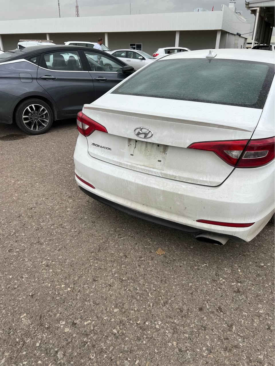 سلام عليكم هونداي سوناتا رقم اربيل لدولي بسمي سياره كفاله ضربه وتبديل بيهه فقط صبق قليل اثر تكشير سياره جاهزه  للستفسار *********** البصرة, العراق
