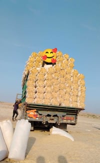 تبن • حجم الچيس ٥٥ • ما بي تراب