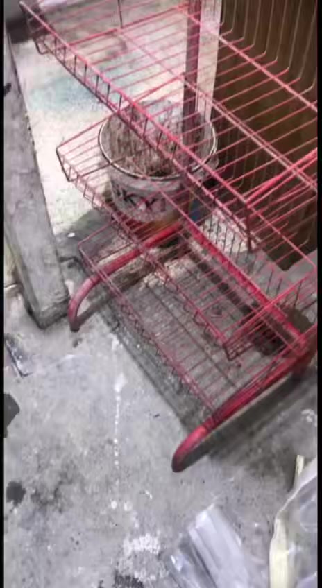 اغراض محل كامله
اغراض محل كامله
ثلاجتين الخضره ب ١٧٥الف
البرتقاليه ٢٠٠
سلتين جبوسه ب ١٥الف الوحده
ميزان ب ١٥ الف شغال
مجمده ب ١٢٥ الف
رفوف عدد ٢٢ الواحد ب ٣ الاف اذا مهتم للشراء اتصل ع رقم
***********
 
‭+٩٦٤ ٧٥١ ٨٥٨ ١٦٦٤‬
