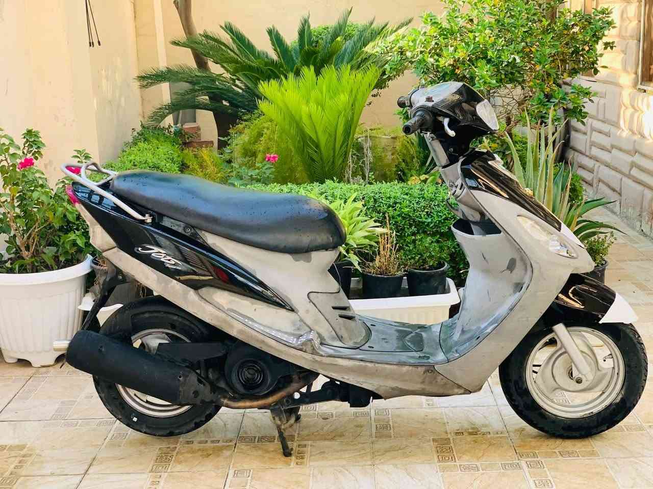 ماكس منغولي مكفوله للبيع سعر ٦٥٠وبيه مجال مكان بابل بكرلي ***********
