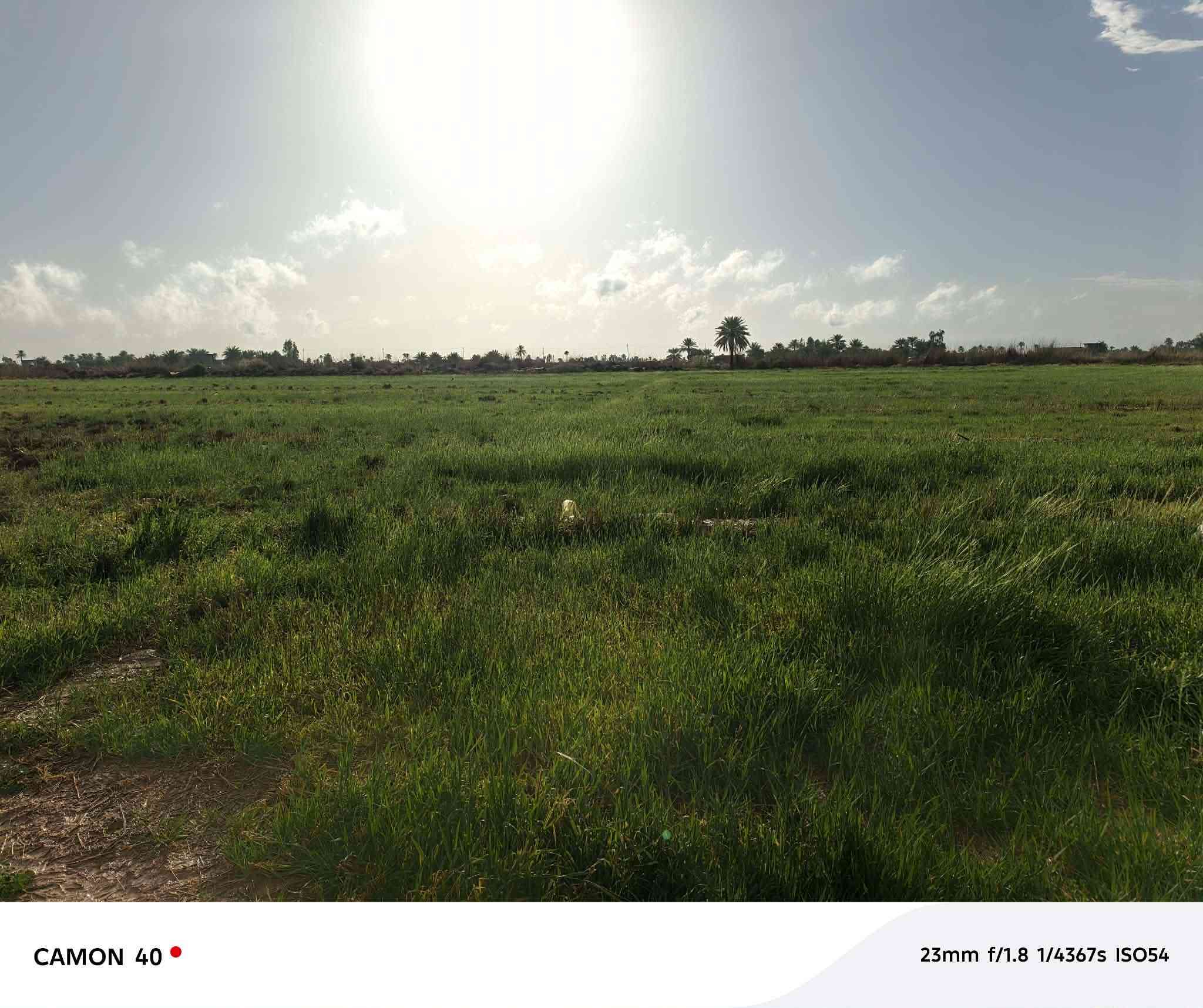 ضمان جايير ٨ دونم المكان زبيدي شاخه ١٠ للتواصل اتصال على الرقم ***********
