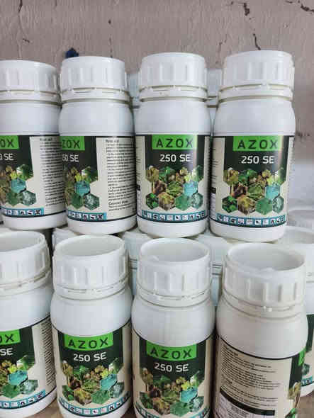 مبيد للفحه المبكره والمتاخره للبصل ولجميع المحاصيل الزراعية وشرط الشغل والضمان 100٪
للاستفسار الاتصال على الارقام التاليه
***********
***********
