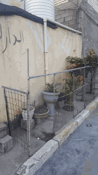 دار للبيع زراعي سند ٢٥ مساحه ١٢٥ بغداد جسر ديالى حي السلام الثانيه قرب...