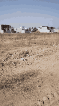 دور الزراعه الخامسه • ١٩٠م • طابو زراعي