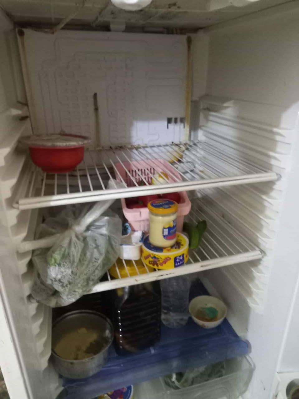 السلام عليكم ثلاجه للبيع تجميد فول فوق وجوه  نضافه فول ما طابه تصليح موطور جديد السعر200قفل للستفسار على هذه الرقم***********
