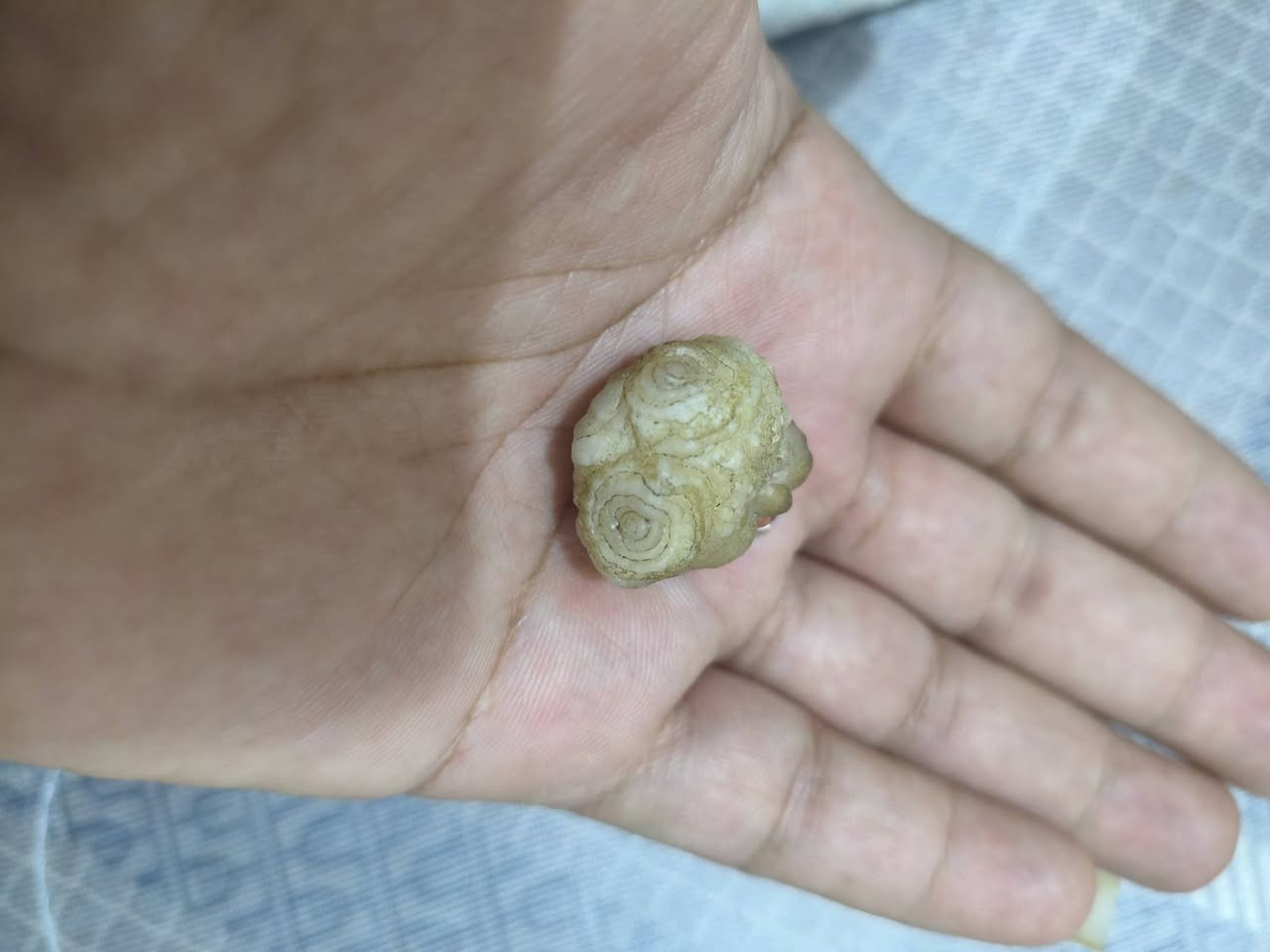 بيع مستعجل اسعار مناسبه العنوان البصره.***********
