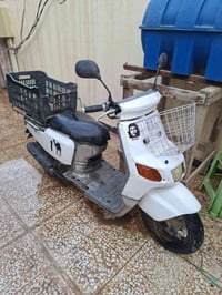 بيكم • ٦٠ • جوزة عطلة