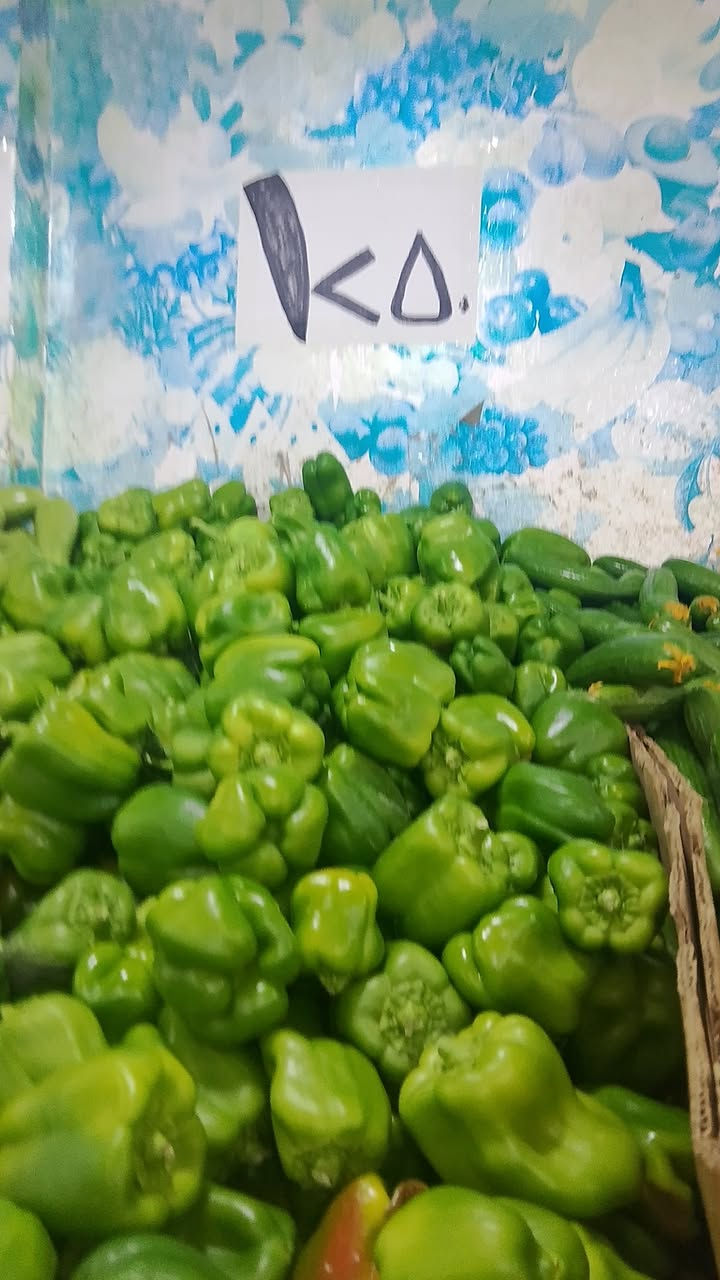 🥬🌶️ خضار اليوم... فرش وطازجة بأفضل جودة 🌿

نوفرلكم خضار مختارة بعناية، نظيفة وطازجة حتى توصلكم بأفضل حال. 💚
📦 توصيل سريع داخل المنطقة.

راسلوا الصفحة واطلبوا احتياجكم، وإحنا نوصله لباب البيت. 🚚🥒‏‪***********‬‏

#خضار #خضروات #طازج #توصيل #بقالة #العراق
