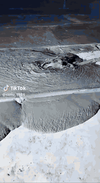 سلام عليكم نجارينه حدادينه احنه جماعته الصب *********** اليدوي عدنه كادر عمال نشتقل جميع القياسات الي عنده تصليطه صطح صبت نظافه رباطات بيتونه ناخذ قياس الصب ونترك السيراميك تنضيف حدل تقطيع جوينات احنه بل خدمه ***********
