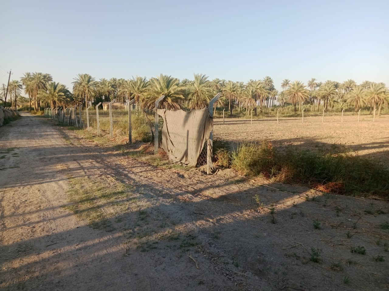 ارض زراعيه 4دونم للبيع
سند ٢٥ مسجل بالطابو المحموديه
تحويل مباشر
كافه الخدمات .ماء . كهرباء
يبعد عن التبليط ٢٠٠ متر 
شارع سبيس جديد لحد التبليط
مكان اليوسفيه بئر الحمام قرب مدرسه الفاضل 
سعر الدونم 70 مليون وبي مجال
***********
