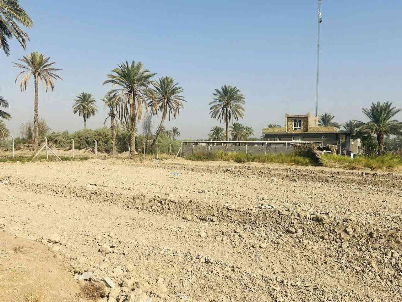 سلام عليكم ارض زراعيه +دار 
المساحه (3) دونم 
العنوان طريق كربله - نجف عمود 256 ام عجه 
كافت الخدمات 

‭0783 885 1910‬
