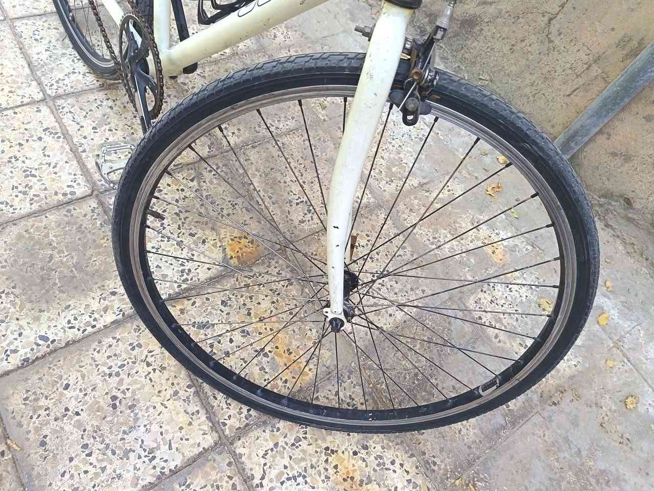 أوربي بغداد حي الجهاد
سعر ٧٠ وبي مجال


**إذا كنت صاحب هذا الإعلان وتريد حذفه لأي سبب، رجاءا أرسل رسالة إلى الدعم الفني**
