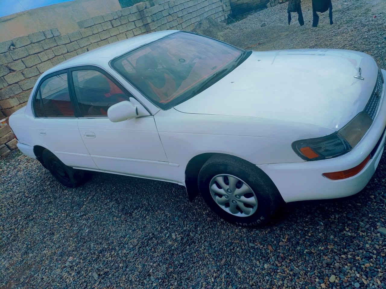 السلام عليكم  كورلا موديل 94 للبيع محرك  و گير جدد   كهربائيات كلهه شغاله  رقم نينوى فحص  السعر 45 بيها مجال وريهم مقدمه زينه والباقي بالشهر.. الخاص مفتوح؟ مكان السيارة الشرقاط


**إذا كنت صاحب هذا الإعلان وتريد حذفه لأي سبب، رجاءا أرسل رسالة إلى الدعم الفني**