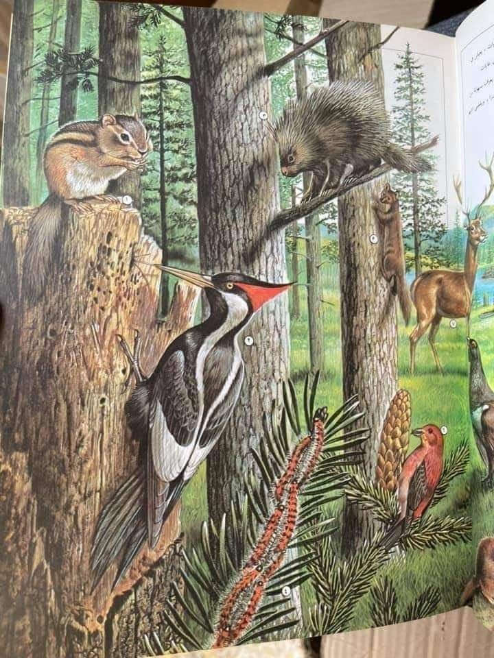 الموسوعة العالمية
21 مجلد
 حجم اطلسي كبير
الناشر : ترادكسيم - شركة مساهمة سويسرية - جنيف

للحجز او الاستفسار تواصل معنا على هذهِ الصفحة
 او على الواتساب والتلجرام على الرقم *********** 

 قناتنا على التلجرام : 
https://t.me/al_ahiba

 يوجد توصيل لجميع المحافظات

#كتب #العراق #بغداد #سامراء #صلاح_الدين #اربيل #سليمانية #دهوك #كربلاء
#الانبار #النجف #ديالى #ميسان  #كركوك #ذي_قار #الكوت #نينوى #الديوانية #المثنى #واسط #بابل #القادسية #البصرة #اقتباسات #اقرأ #علماء #تعليم
#رواق_ابن_المعتز
