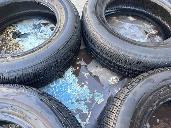 تخم تاير اكسنت حجم 14ابو الخط الابيض نظافه 50./.
العنوان بغداد الرصافه 

السعر 60

***********
