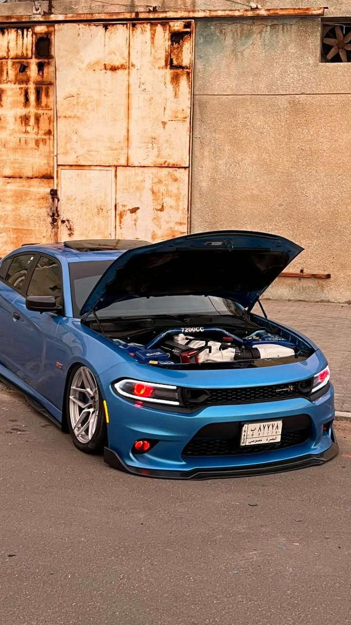 السلام عليكم
رجاءً رجاءً اطلع واقرأ تفاصيل السياره كامله واتصل وتشلع عيوني….

دودج جارجر سكات باك مديل 2019 خليجي وكالة الملا 

ممشى السياره 28 الف ميل ما ماشيه السياره بحالة الوكاله

السياره فول مواصفات لل اخير ماعدا الرادار الامامي 

السياره من اقوى سيارات العراق والسياره مطلعه ع الداينو 

+700HP (NA)

رقم السياره بصره مميز كدامكم ب اسمي السياره تحويل ثاني يوم 

مواصفات السياره:

فتحة سقف سلايد روف 

نقاط عمياء 

نظام ترحيب 

ستيرن كهرباء 

كشن كهرباء مال السايق والراكب ثنينهن

تبريد تدفأة كشنات 

وتدفأة ستيرن 

وتبريد تدفأة اكواب 

كشنات خلفيه تدفأة 

دكمة سوبر تراك باك  

لانش كونترول 

مودات القياده (ايكو-نورمال-كوستم-سبورت-تراك)

سسم صوت الباين 

وبعد مواصفات خير من الله معروفه مواصفات الخليجي معروفه

نجي ع الاضافات الي ع السياره : 

ويل روهانا جديد لا فطر ولا عواج ولا تصليح 

جكات كات باك S2  جديد 

لايتات متغير اوركال مع عدسة عين الشيطان + كشافات 

ستريس بار 

لحية كاربون تغطيس 5 قطع 

دوس اضافيه كاربون تغطيس

كفرات مري جانبيه باتمان كاربون تغطيس

زعانف دعاميه خلفيه كاربون تغطيس

جنح خلفي گصة علي دبي تغطيس كاربون 

شفقه خلفيه كاربون تغطيس

غلاف قبق بانزين كاربون تغطيس 

اضافات دواخل كلها كاربون بيها كاربون حقيقي وبيها تغطيس 

التزويد الي ع السياره :

مكينة السياره  ستروكر 7400cc

كام شفت ستيج 4 ارقامه كلش قويه ورفه تخوف 

بستم مهلا 

ذراع مانلي

بگن يطغات كومتك 

كرنك مانلي 

هيدات محفوره 

اويل بم ريد آي 

هدرز لونگ تيوب SP works

كزوز بورلا اتاك ستيل اخر اصدار 

منظومة ميثانول انجكشن

اويل برثر 

اويل كاجكان

ولف حماوه ريسنك

بدل كامندر ( فائدته اسجابه اسرع وتوفير وقود )

وبعد تزويد وغراض كلششش هواي ماتذكرهن 

اخوان كدامكم السياره فقط الي مهتم والشراي يتصل رجاءً

اخوان هاي السياره كدامكم وشايله قوه تشگ الكاع 

ملاحظة: سبب البيع ظروف 

السعر بلاششش جداً مناسب بلنسبه للغراض الي ع السياره 

رقم الهاتف: ***********

رقم الواتساب:***********
