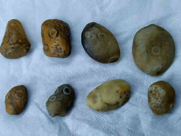 يا علي
بند ثمن احجار سليماني خام عيون صريحة ملاكط
كلهن بـ20 الف 
للتواصل واتساب (***********)
