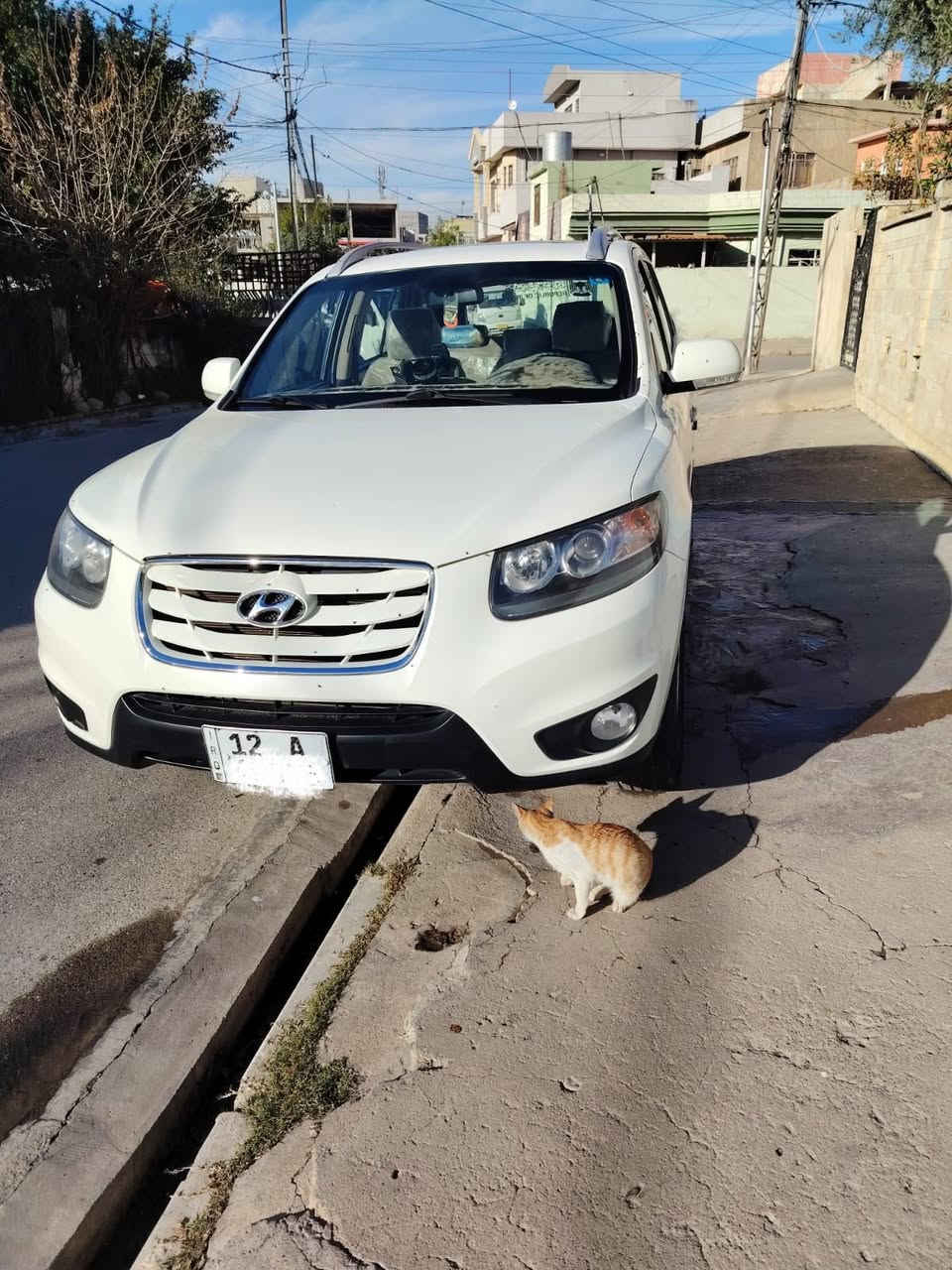 متاح
سنتاڤي موديل 2012

مواصفات السياره

كير محرك شرط 
 محرك اربعه سلندر 
سبعه راكب 
قطعتين تبريد 
تبريد تدفئة شرط 
طخم ويل كاب 
طخم تايرات
السياره كلين فقط بيها كارت صبغ بالجاملغ مال السايق مكان جلخ 

السياره رقم نينوى الدولى باسمي شرط التحويل

للاستفسار اكثر اتصل

***********
***********
