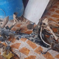 محرك • ولشة • تفصيخ