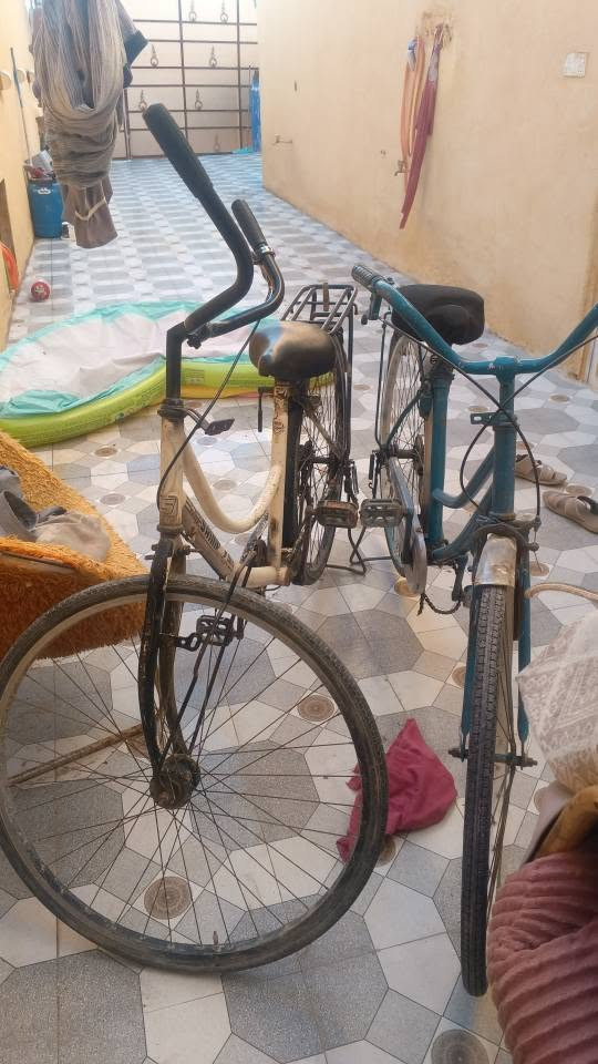 درج حديد طوله 3ونص اله 4 سعره 100 جهاز رياض سعره 40
بسكلات بناتي سعره الوحد 35 بسكلات اطفال اثنين 50 رفعه مكيف سعره الوحد 75
كمرات شغاله كله 30فان رديتر الوحد 15 مسدس سقف جديد 50 كابسه ترمل هتروليك جديد 75
قبق بيبان سركت كله 20
كوزاي عدد ثني سعره 50
صونده مال غسل كبس طول 20 سعره 25
مغاسل الوحد 10الف 
قفص صياد سعره 15
قفص حديد سعره 10
دماب شغال سعره 35
حوض سمج سعره 40
اوتي بخار شغال سعره 20
كبان ليزر جديد سعره 40
درج مال جنبي سعره 40
عربنه اطفال سعره 20
طراد جديد سعره 20
سركت كهرباء ابو 250انبير شغال سعره 50
برمز اثنين سعره 20
مطور حرامي شغال سعره 25
مروحه عموديه شغاله سعره 40
استفسار عله رقم *********** مكان البصره ابي الخصيب طريق سيد حمد البصرة, العراق
