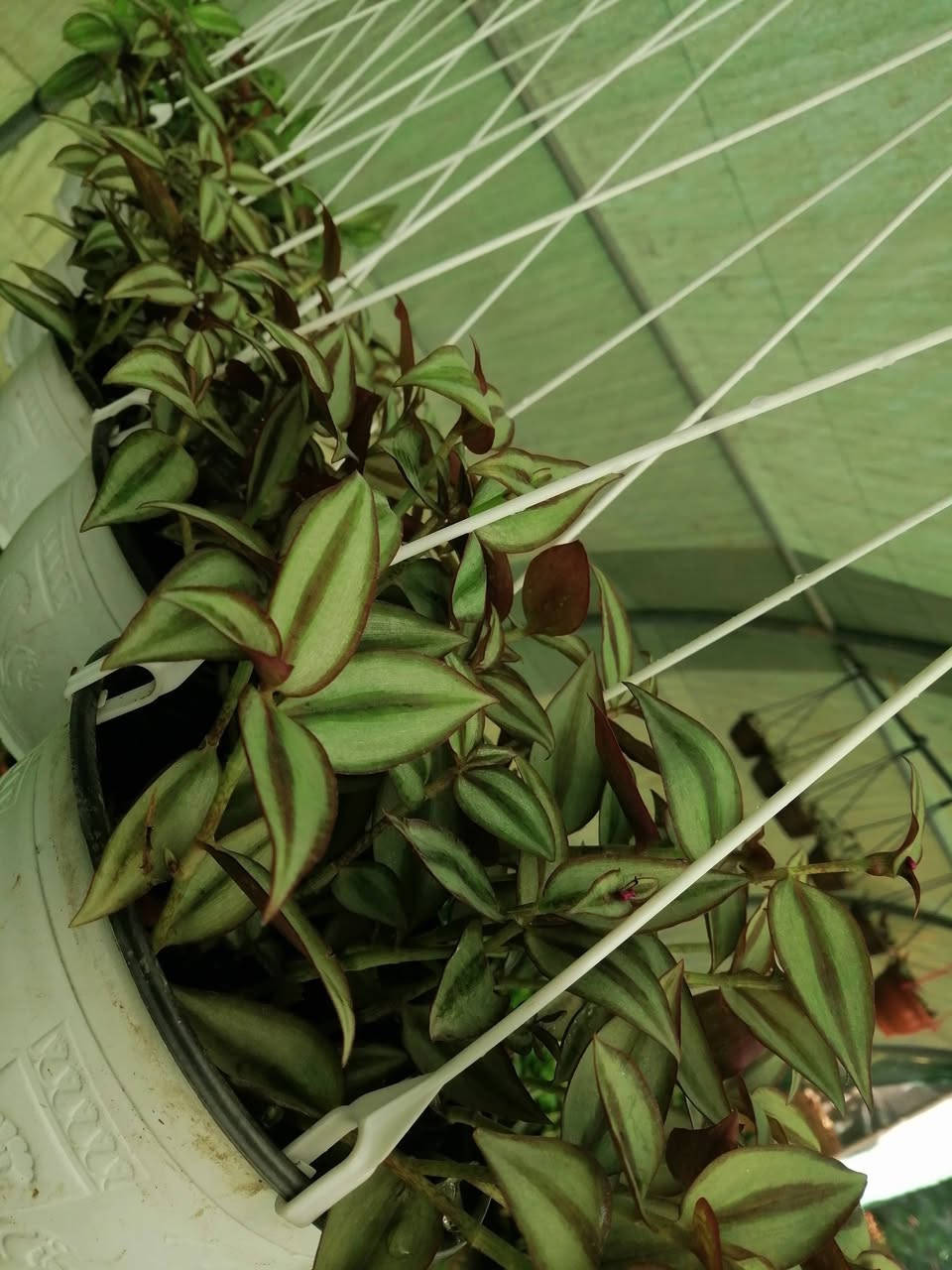 ((مشتل حديثة المركزي))
الموقع #
قرب دائرة البريد بسوق حديثة
دائما مستمرين وياكم
مكحله تعلاك ٣الالف فقط
كل ٢ ب٥الالف 
عرووووضنا  وبأسعار بلاششششششش🙂✌️
فقط وبس يمنا)) 😉🌺✌️

لاستفسار زورو صفحتنا أو الاتصال على الرقم
***********
اهلاوسهلا بالجميع ❤️
