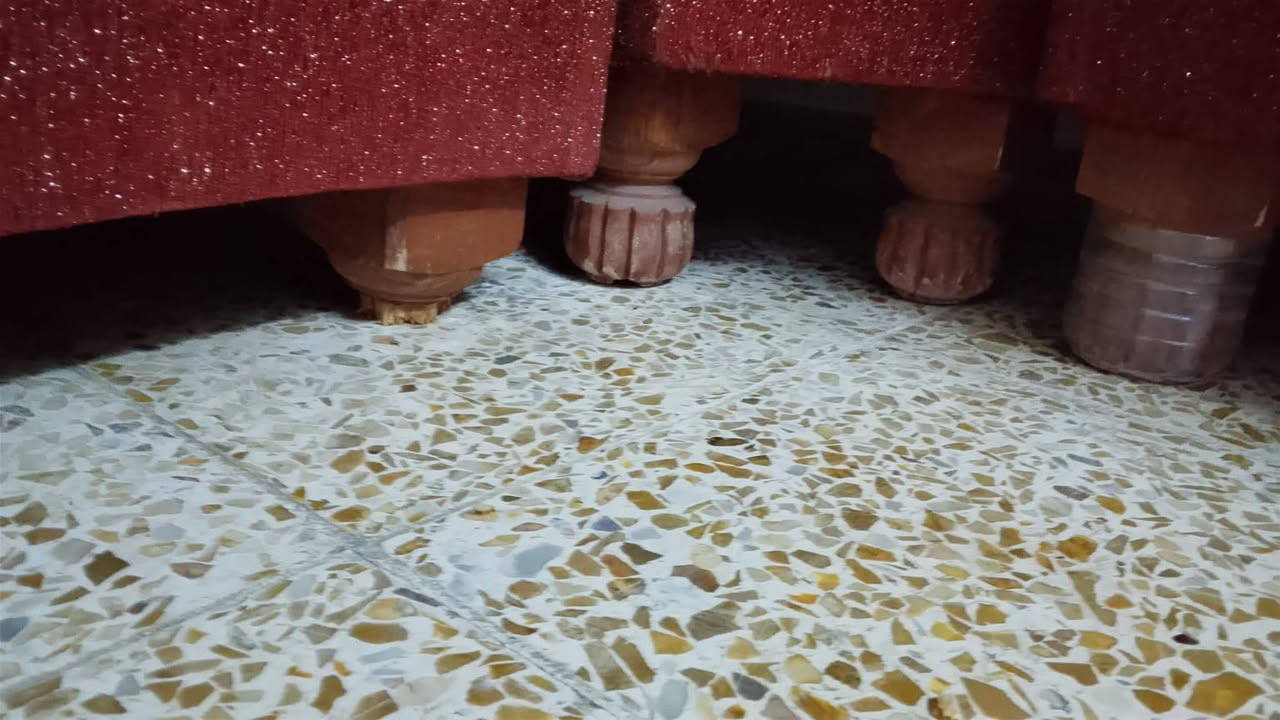 7متر يعوز بس معاكس واثنين رجلين مكسرات خشب عراقي درجه اولى نظيف 125بي مجال


**إذا كنت صاحب هذا الإعلان وتريد حذفه لأي سبب، رجاءا أرسل رسالة إلى الدعم الفني**