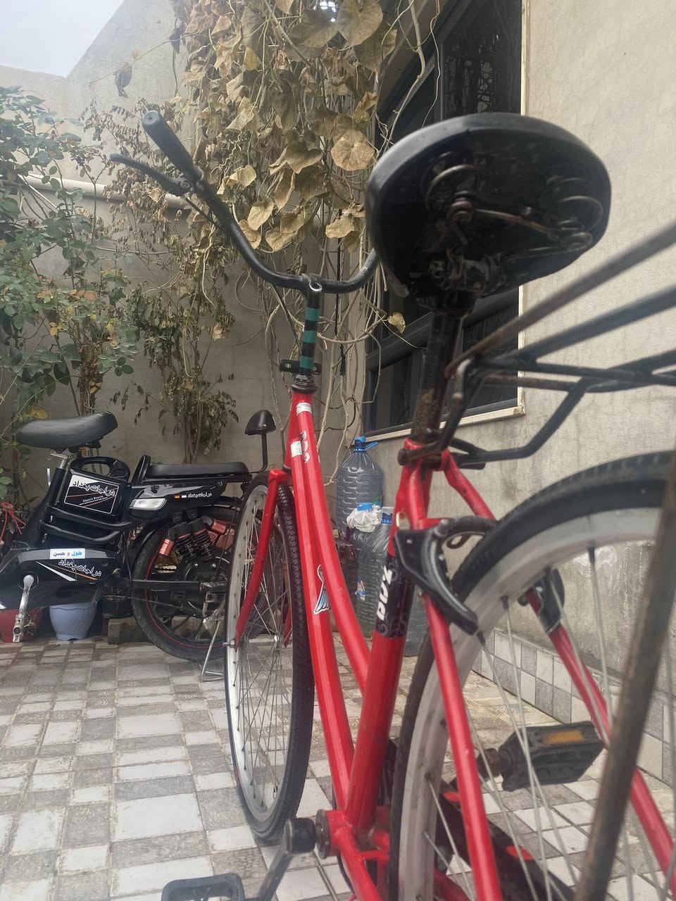 سلام عليكم ورحمه وبركاته 
بايسكل حجم 26البيع 
موديل :2018 
سعره :60وبي مجال شوي 
التواصل خاص


**إذا كنت صاحب هذا الإعلان وتريد حذفه لأي سبب، رجاءا أرسل رسالة إلى الدعم الفني**