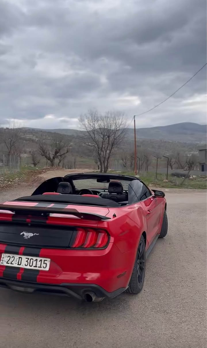 پيشو پشتي كبسه بس يرباك سوكان 
٣ قتعه بخ دو قتعه سبوغ بتانه شاصي شرت
كورينه وش دكم 
*********** أربيل, العراق
