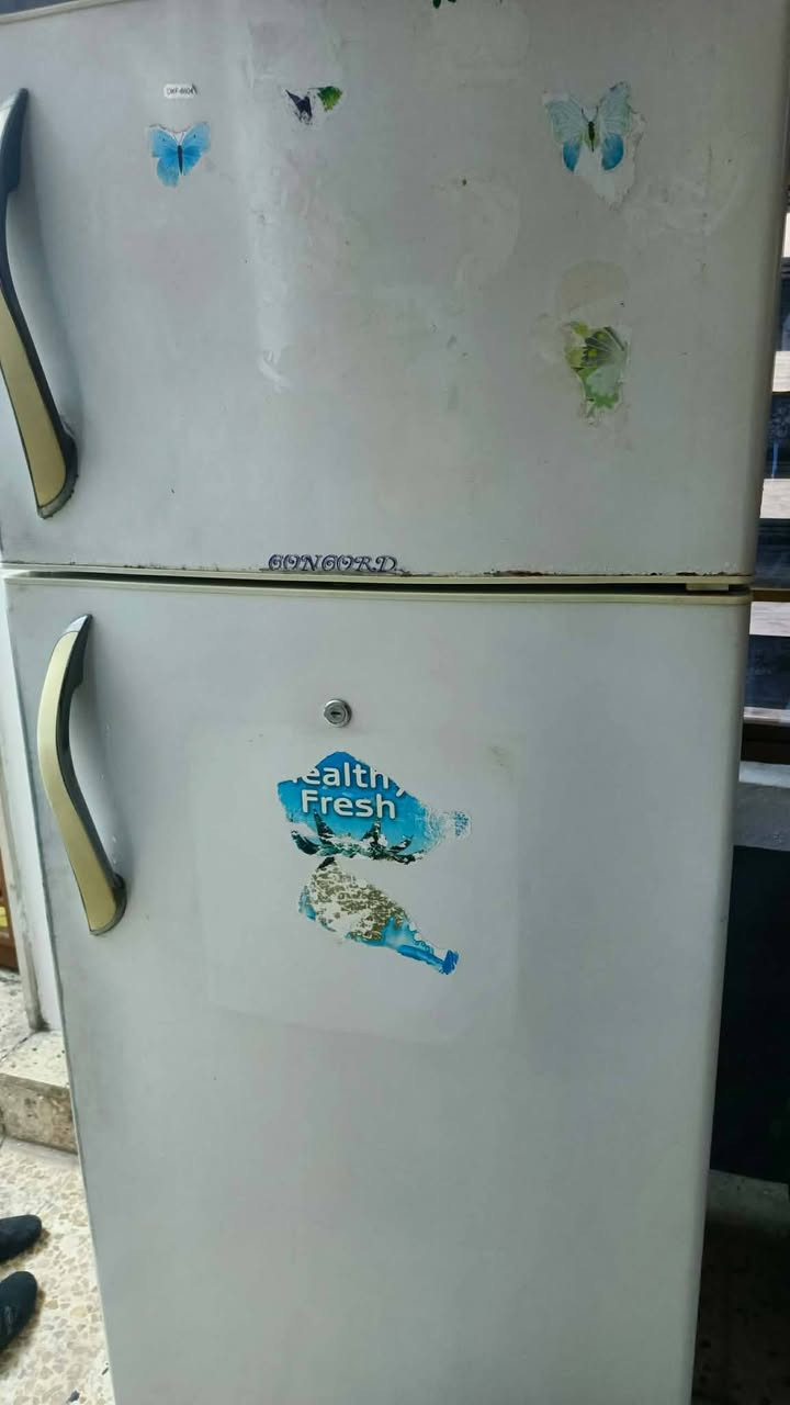 سلام عليكم
ثلاجه بحالة جيده للبيع 
حجم ٢٠ قدم 
سعر ٧٥٠٠٠ الف


**إذا كنت صاحب هذا الإعلان وتريد حذفه لأي سبب، رجاءا أرسل رسالة إلى الدعم الفني**