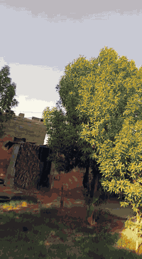 دايوان 2023 ماكس • رقم واسط • نضيفه