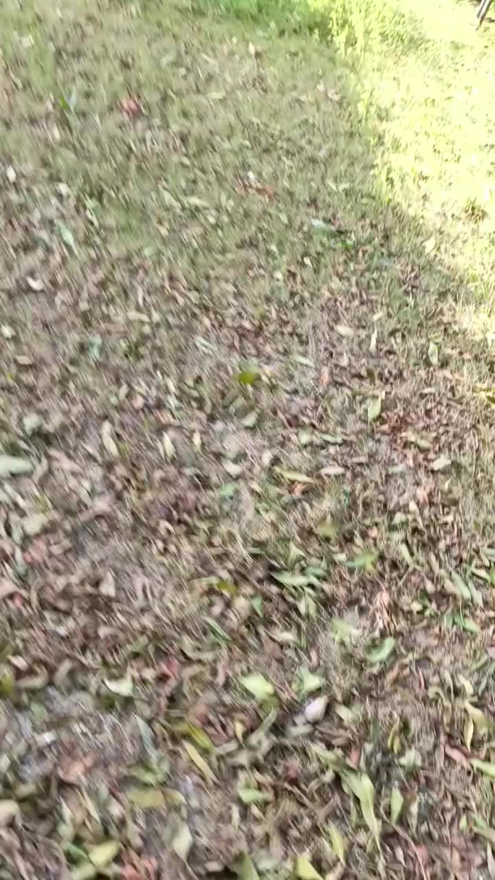 شغل درجه اولى سيراميك ولبخ جرارة وسقل ونثر وبورك التزام باالموعد (***********) (***********)
